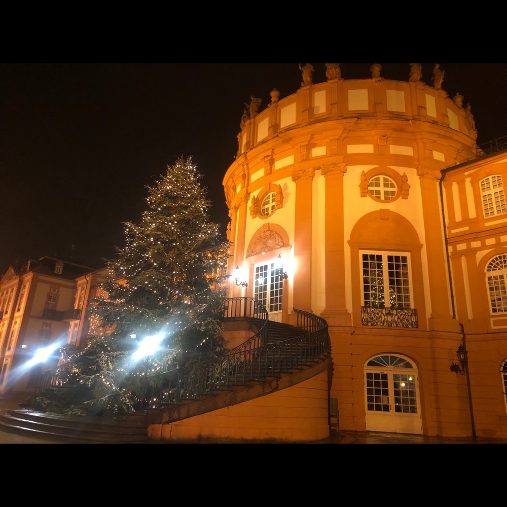 Meet your Posher, Neema!